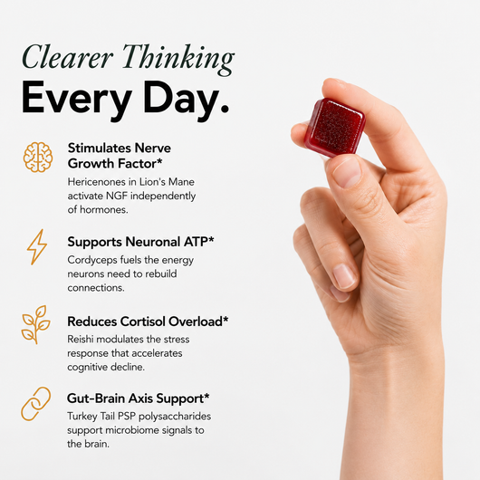 Kiro Focus Gummies