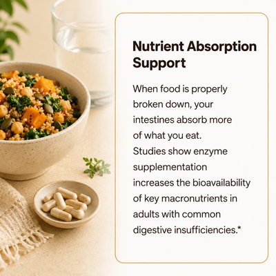 Nutrient Absorption Support